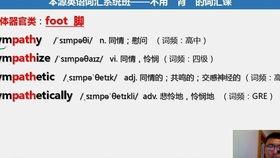 英语成人最基础教学视频,Essential English for Adults: A Comprehensive Overview of Basic Teaching Videos
