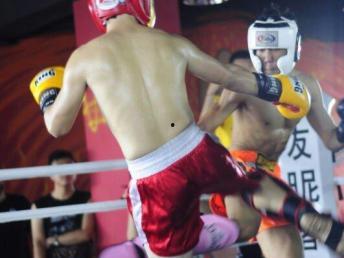 散打成人私教教学视频