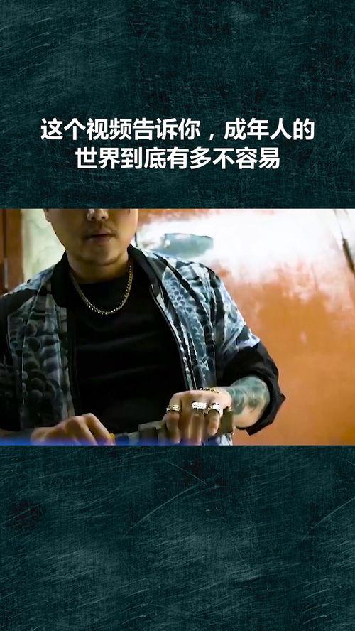 成人的世界没有不易视频,揭秘生活的真实面貌