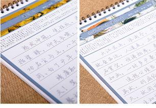 练字钢笔成人好看吗视频,书写之美，尽在这一笔一划