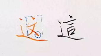 成人写字好看的视频