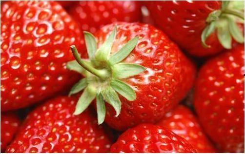 草莓成人两性视频,探索成人世界的真实面貌