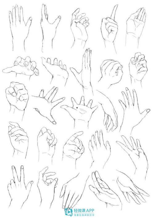 花变成人的画法视频,跟随画法视频探索植物生命奇迹