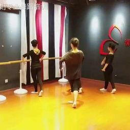 蒙古舞蹈视频成人版,激情四溢的民族风情演绎