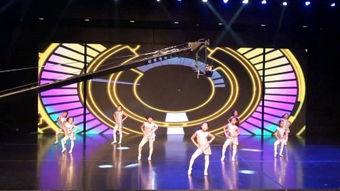 临清成人舞蹈视频,成人舞蹈视频中的魅力展现