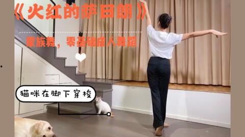 成人易学舞蹈视频大全,成人舞蹈入门必备视频大全