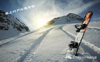 成人户外滑雪全套视频,全方位户外滑雪教学视频解析