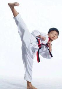 成人跆拳道全部视频讲解,系统掌握跆拳道技巧与精髓