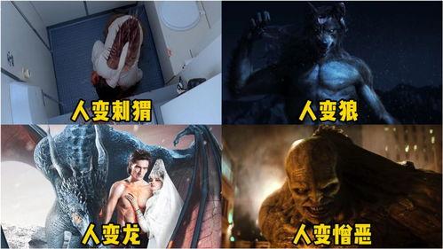 刺猬变成人的视频,从毛茸茸到人类的奇幻之旅