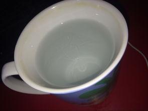 成人奶嘴杯怎样清洗视频,轻松掌握清洁秘诀