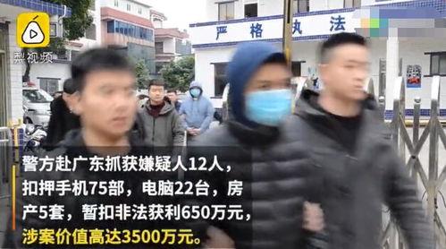 五五成人现在视频,揭秘现代职场新趋势下的成人教育