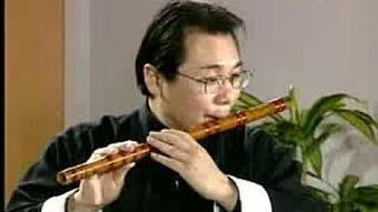 笛子成人演奏视频大全