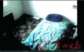 视频成人性视频在线观看,在线观看的隐秘世界